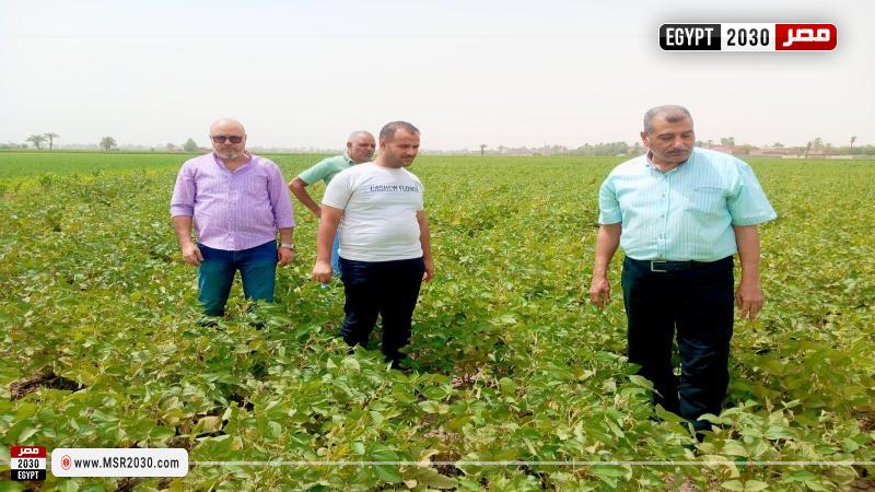 محافظة أسيوط 