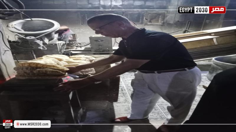 محافظة كفرالشيخ 