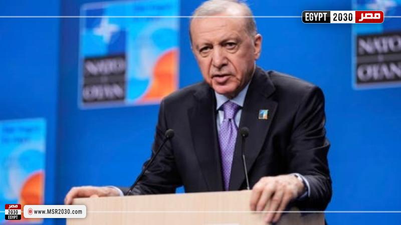 الرئيس التركي رجب طيب أردوغان