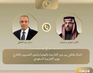 وزيرا خارجية مصر والسعودية يبحثان مستجدات الأوضاع بالمنطقة