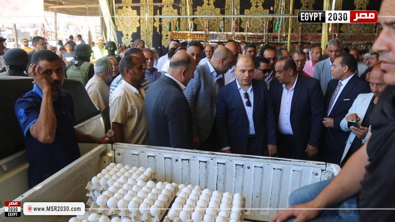 محافظ كفرالشيخ
