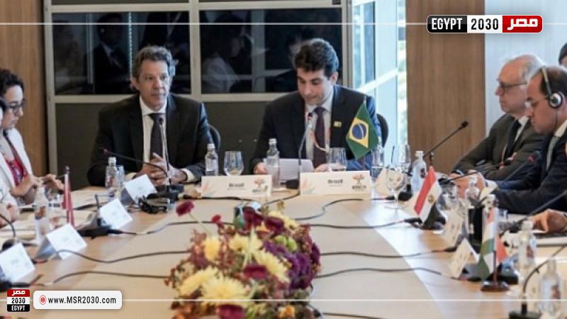 وزراء المالية ومحافظو البنوك المركزية لدول بريكس