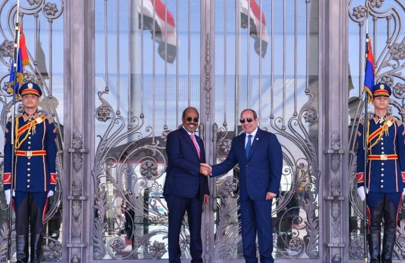 الرئيس السيسي و الرئيس الصومالي 