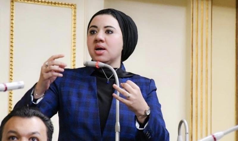 مجلس النواب يوافق على استقالة النائبة أميرة صابر تمهيدًا لترشحها لانتخابات «الشيوخ»
