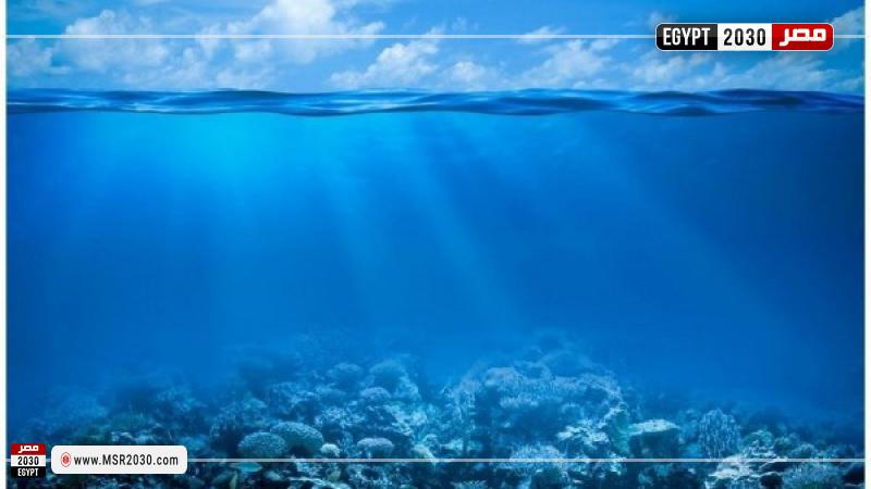 حموضة المحيطات تهدد النظم البيئية