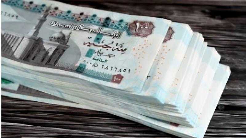 بقرار جمهوري.. زيادة المرتبات 3000 جنيه لموظفي الحكومة بهذه الجهة