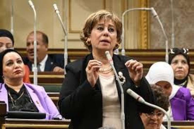 النائبة ميرفت ألكسان