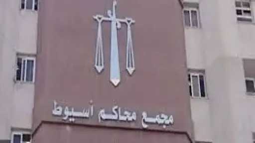 حكم قضائى بإعدام فلاح بتهمة التعدى على ابنته بأسيوط