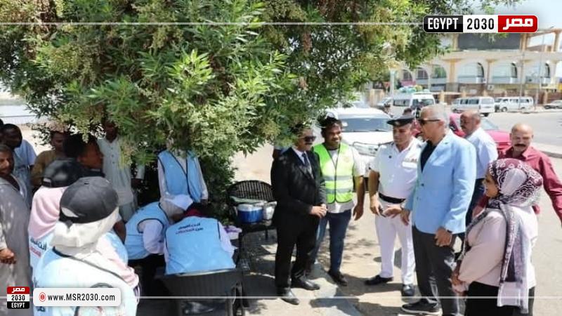 محافظ أسوان