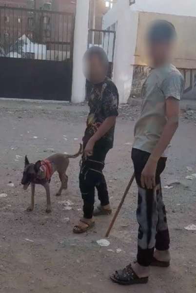 المتهمين 