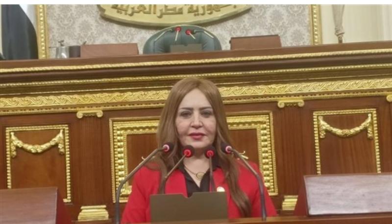 النائبة جيهان بيومي