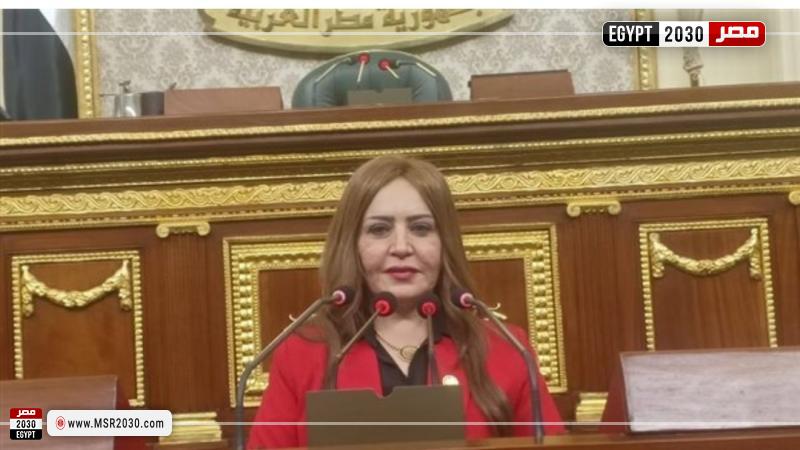 النائبة جيهان بيومي