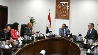 الحكومة تتابع مع «الكهرباء» و«البترول» جهود تأمين الوقود اللازم للمحطات