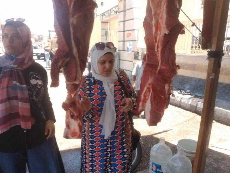 نشاط مكثف من مديرية الطب البيطري بالأقصر خلال شهر يونيو 2025