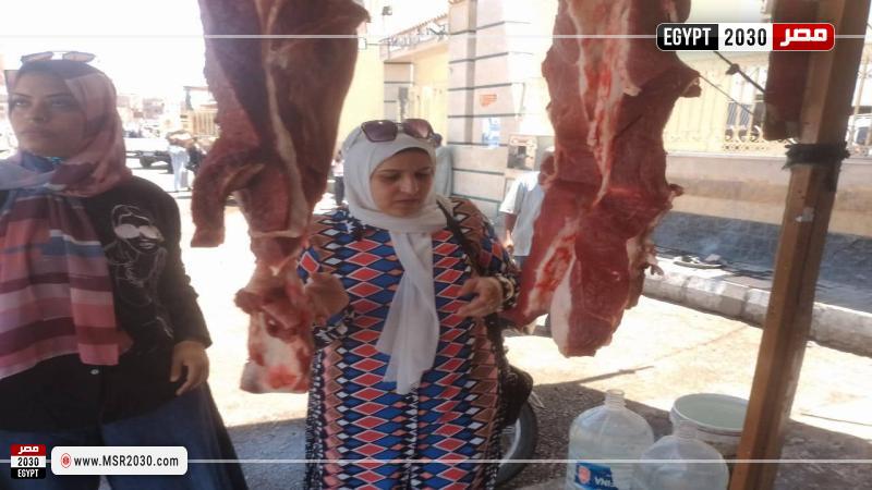 مديرية الطب البيطري بالأقصر