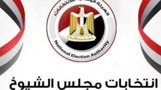 القومي لحقوق الإنسان يستبعد الحزبيين من متابعة الانتخابات البرلمانية
