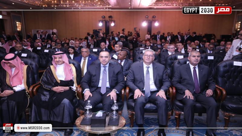 وزير البترول والثروة المعدنية