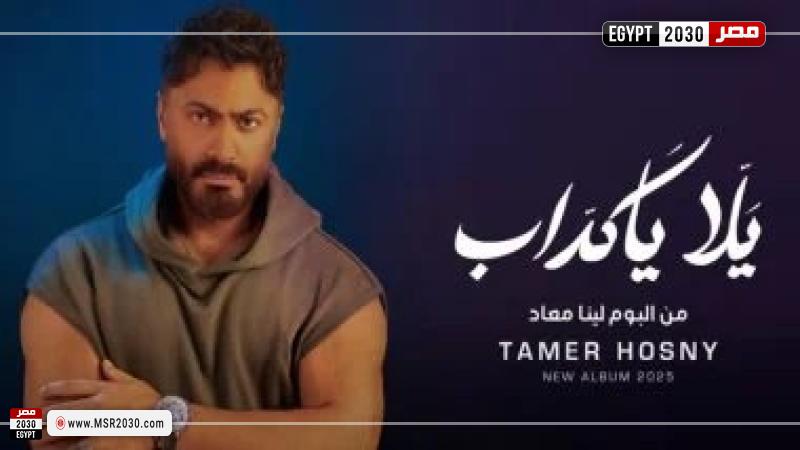 تامر حسني