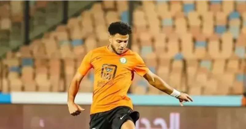 أحمد ربيع