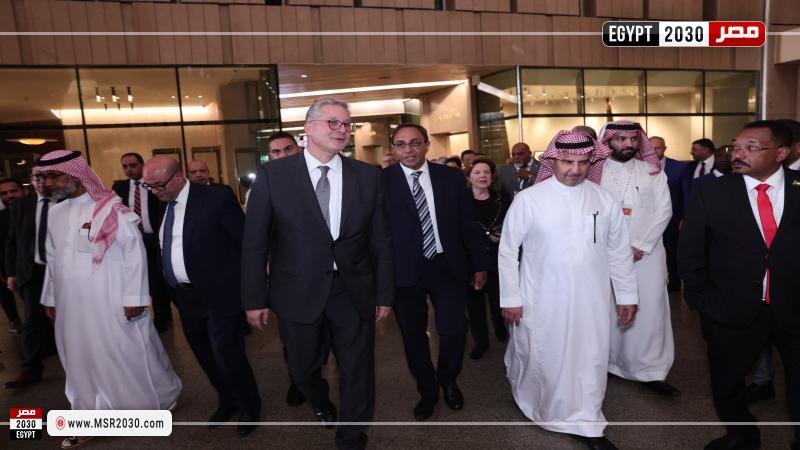 وزير البترول والثروة المعدنية
