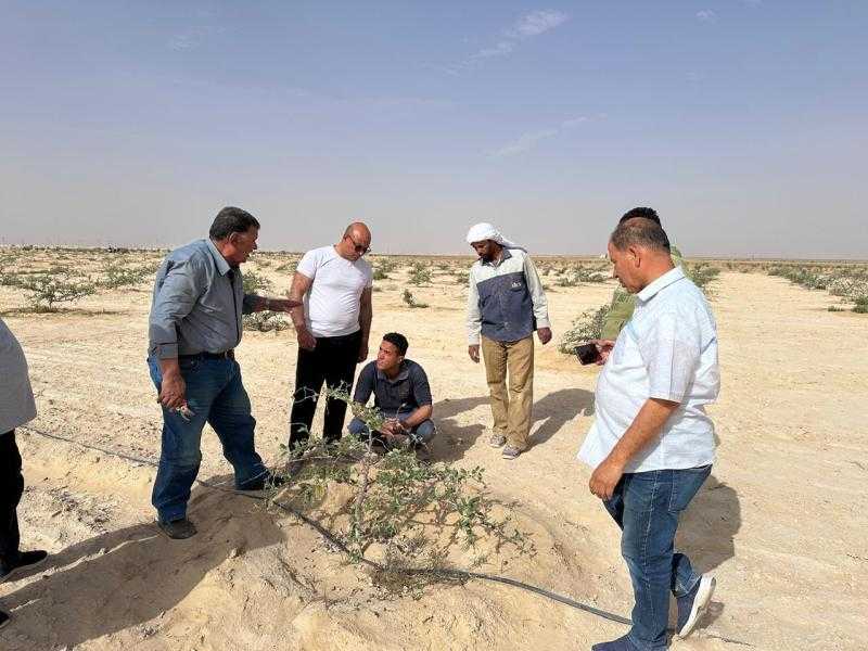 خبراء بحوث الصحراء يواصلون جولاتهم الميدانية ضمن مبادرة “اسأل واستشير” لدعم مزارعي سيناء