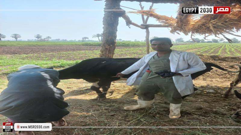 وزارة الزراعة 