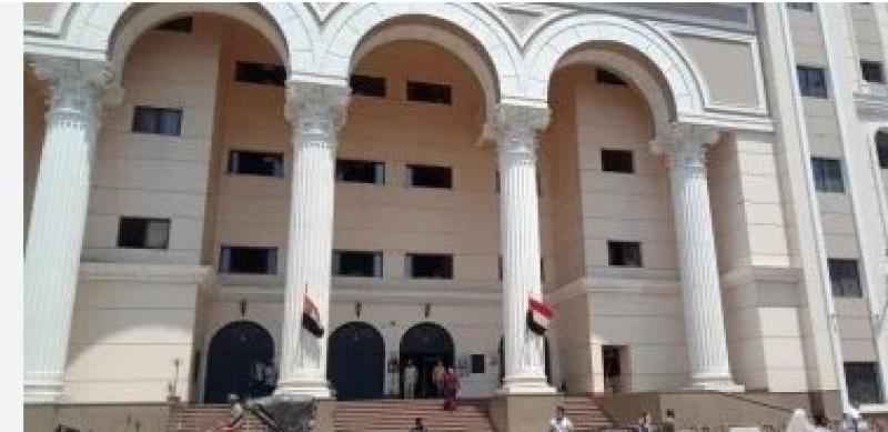 إحالة أوراق متهم لفضيلة المفتي في قضية قتل سائق توك توك بالقليوبية