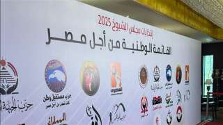 ممثل القائمة الوطنية بانتخابات الشيوخ: اختيار مرشح واحد يبطل صوتك.. وفوز القائمة مرهون بـ«5%+1»