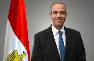 وزير الخارجية: بحثنا مع الجانب الألماني جهود مصر بشأن التوصل لاتفاق لوقف إطلاق النار في غزة