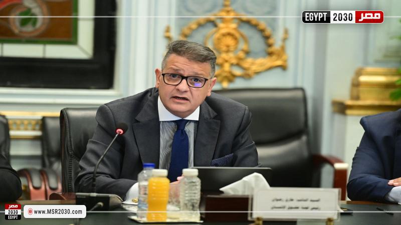 طارق رضوان عضو مجلس النواب