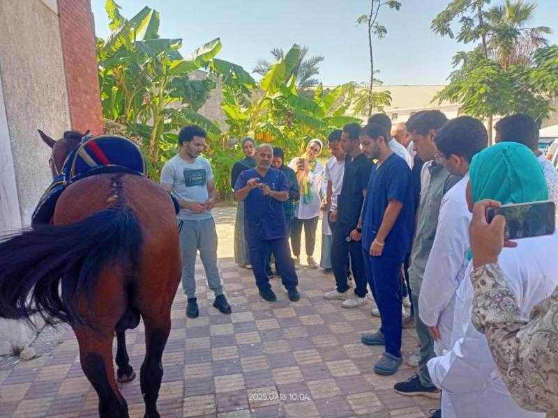 الخدمات البيطرية تنفذ حزمة أنشطة تدريبية علاجية لحيوانات الفصيلة الخيلية بالتعاون مع مستشفى بروك الخيري