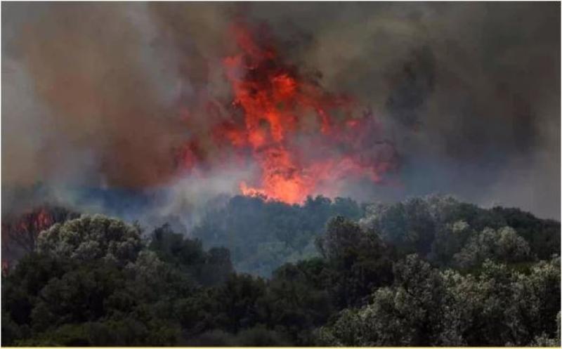 حريق غابات يودي بحياة 10 من رجال الإطفاء وعمال الإنقاذ في تركيا