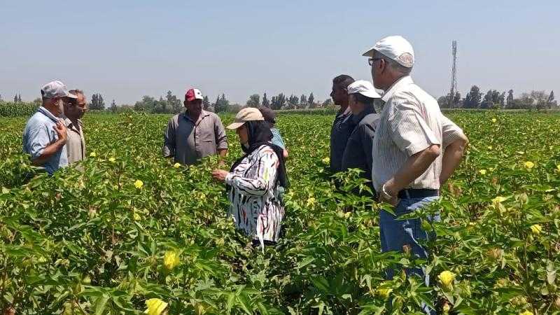 الزراعة تكشف محددات اختيار المناطق الاصطلاحية.. وعوامل انتقاء الدلتا الجديدة