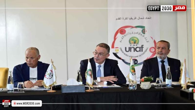 هاني أبو ريدة