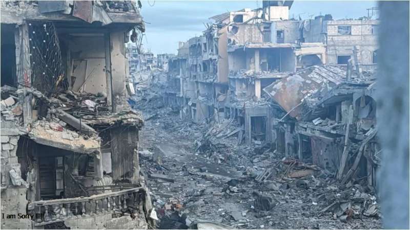 صورة أرشيفية
