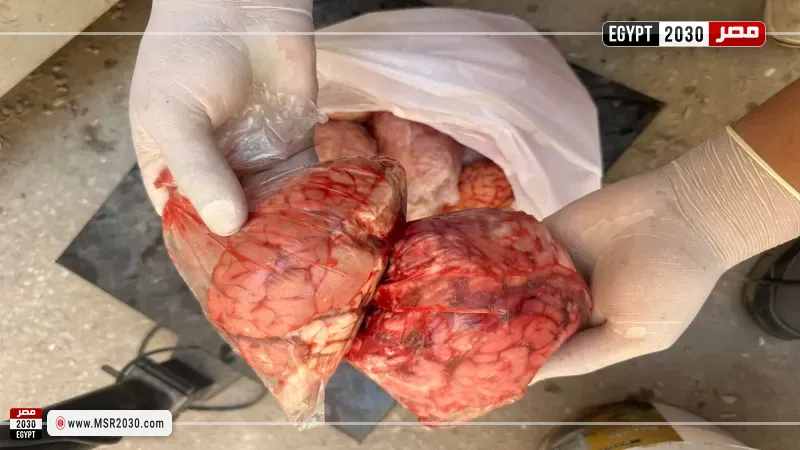  لحوم غير صالحة 