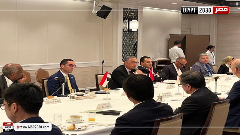 وزير الاستثمار والتجارة الخارجية 