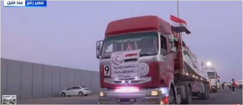 جانب من المساعدات المصرية