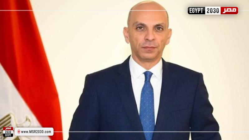 متحدث الخارجية المصرية