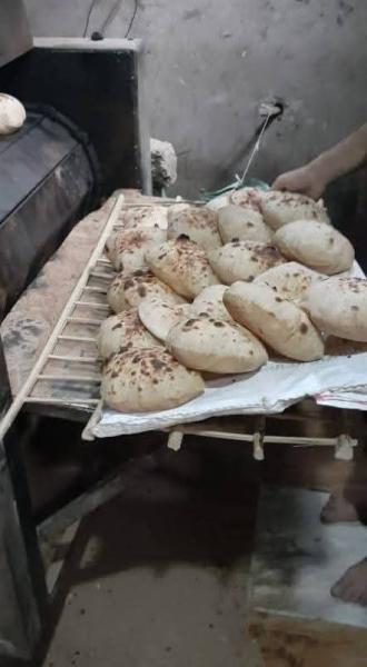 تموين أسيوط 