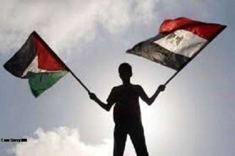 حركة فتح: مصر قدمت الكثير لدعم الشعب الفلسطيني