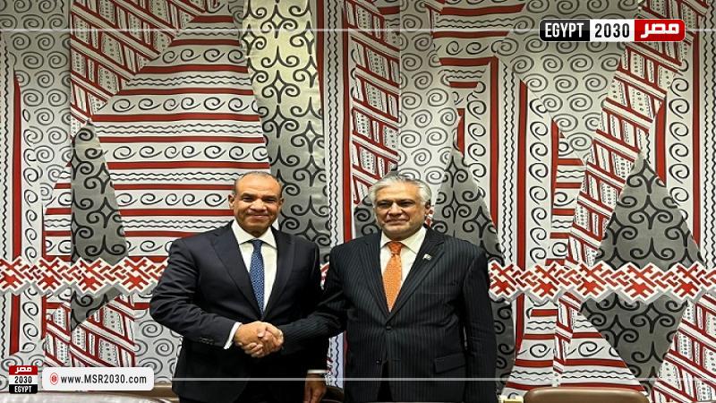 وزير الخارجية مع نائب رئيس الوزراء الباكستانى