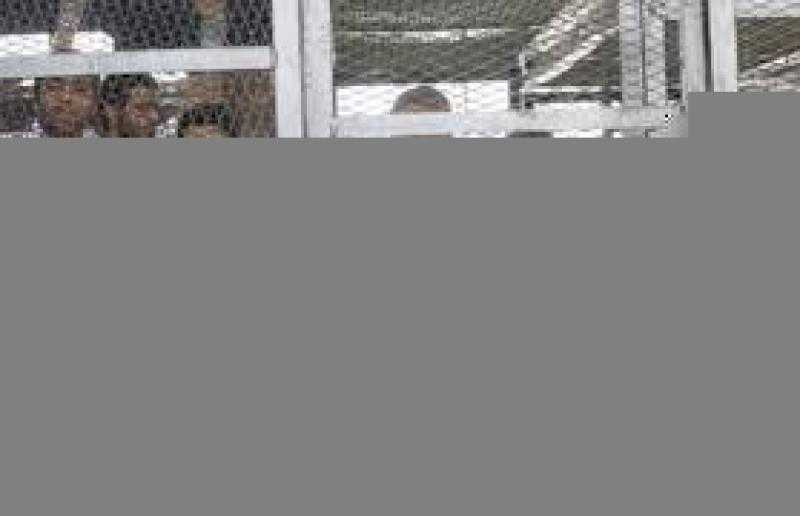 محاكمة 3 متهمين في قضية الانضمام لـ ”خلية جبهة النصرة الثانية”.. غدا