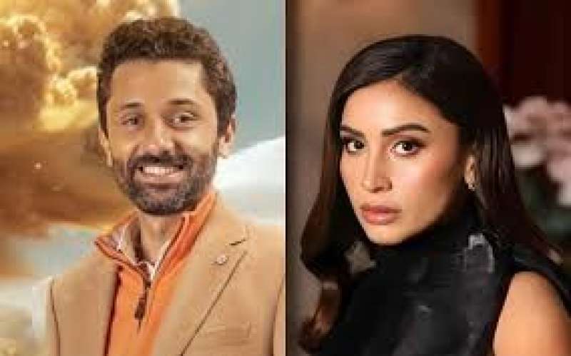 كريم محمود عبد العزيز ودينا الشربيني 