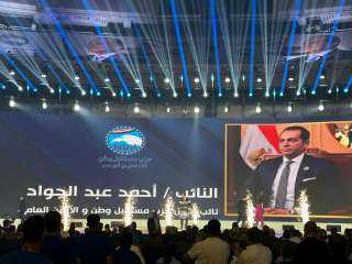 أحمد عبدالجواد: نخوض انتخابات مجلس الشيوخ بروح وطنية خالصة