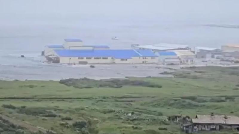 زلزال تسونامي