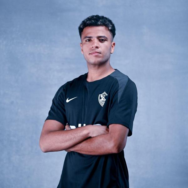 أحمد ربيع