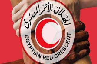 الهلال الأحمر المصري: الدفعة الخامسة من شاحنات المساعدات لقطاع غزة تحمل نحو 6 آلاف طن