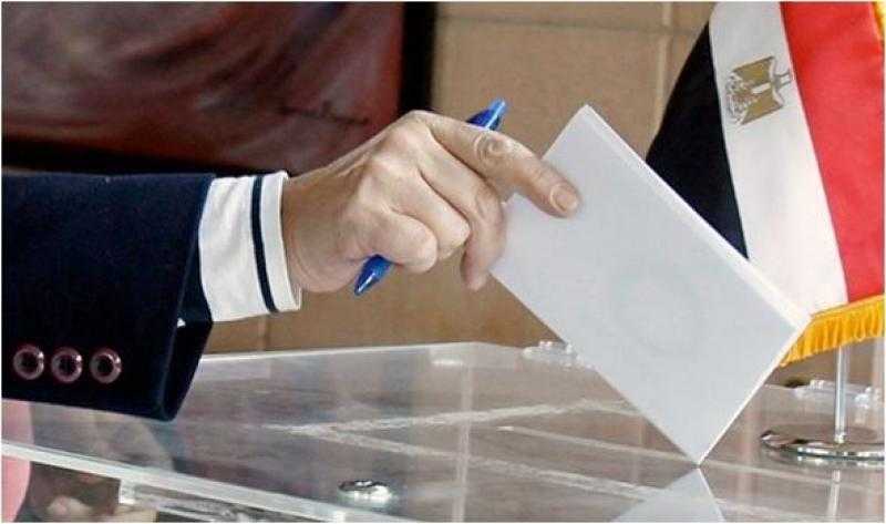 ماجد سعد: 3 مقار لتصويت المصريين في ألمانيا بـ انتخابات الشيوخ