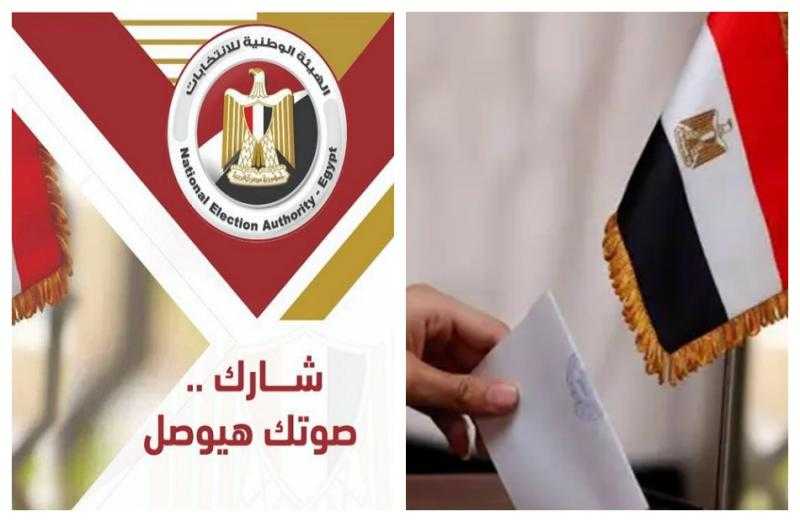 إجراءات المنظمة العربية لحقوق الإنسان لمتابعة انتخابات مجلس الشيوخ 2025